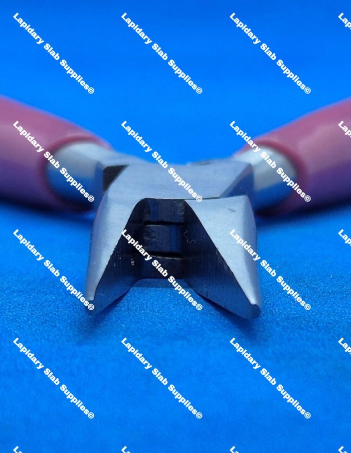 Chain Nose - Image 3