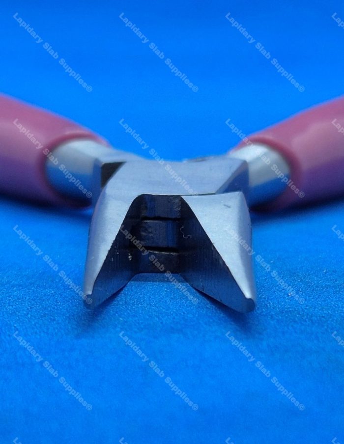 Chain Nose - Image 3