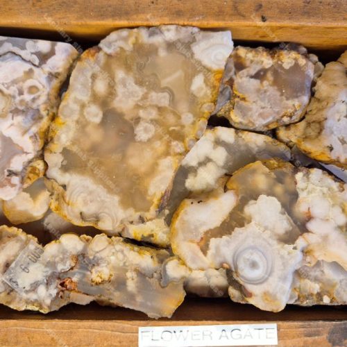 Flower Agate