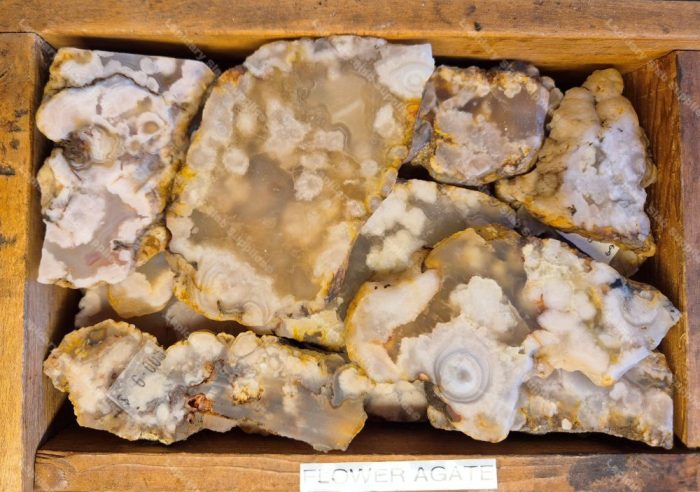 Flower Agate