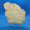 Citron Chrysoprase - Image 5