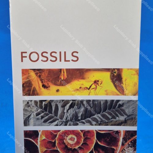 FOSSILS