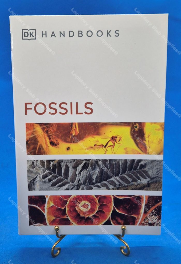 FOSSILS