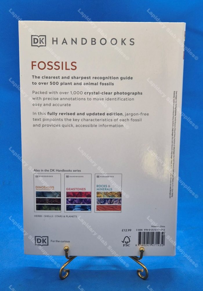 FOSSILS - Image 2