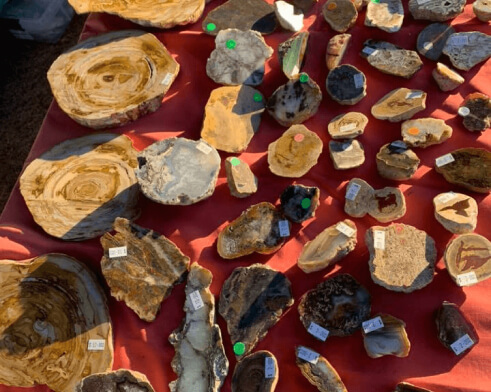 _Collection of Different Gemstones and Slabs in Queensland Gem show at Lapidary Slab Supplies Mackay (1)