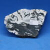 Indian Tree Agate