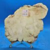 Citron Chrysoprase - Image 4