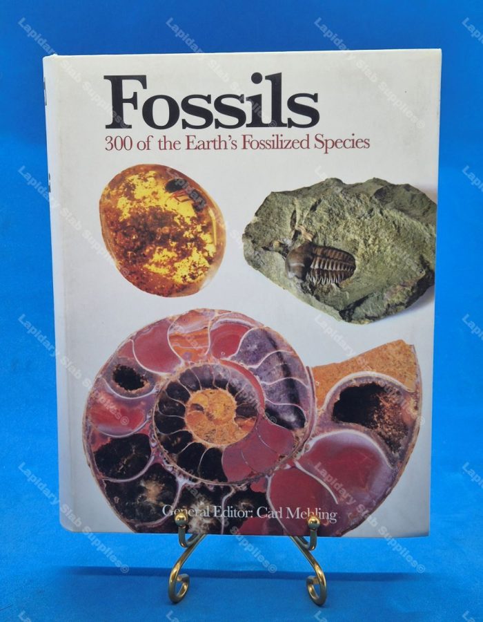 Fossils 300 of the Earth's Fossilized Species