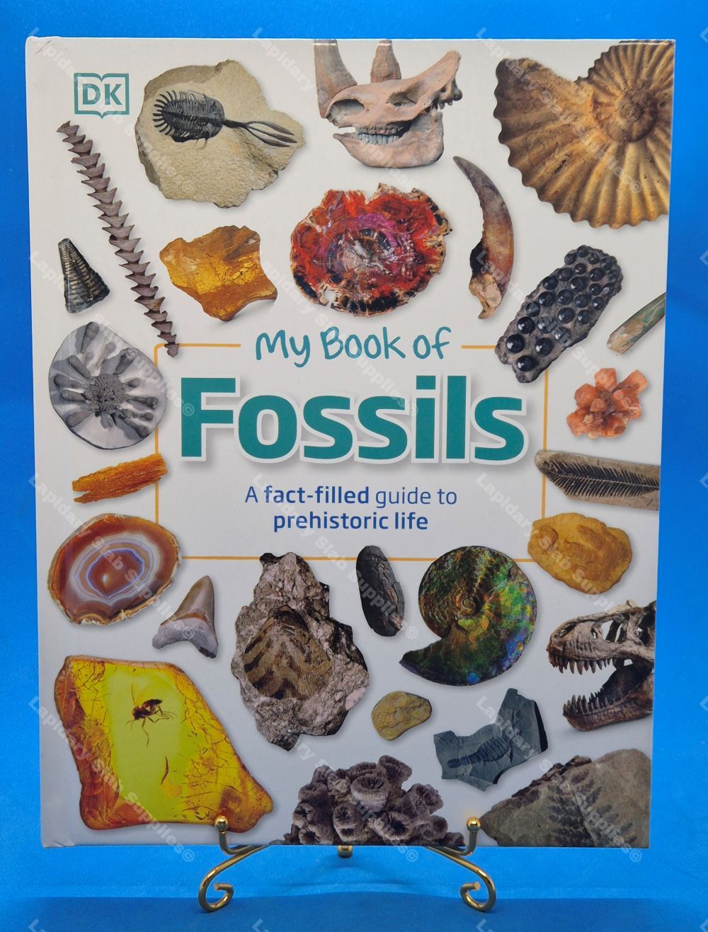My Book of Fossils