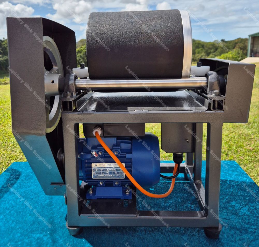 The Bumblebee - Image 2