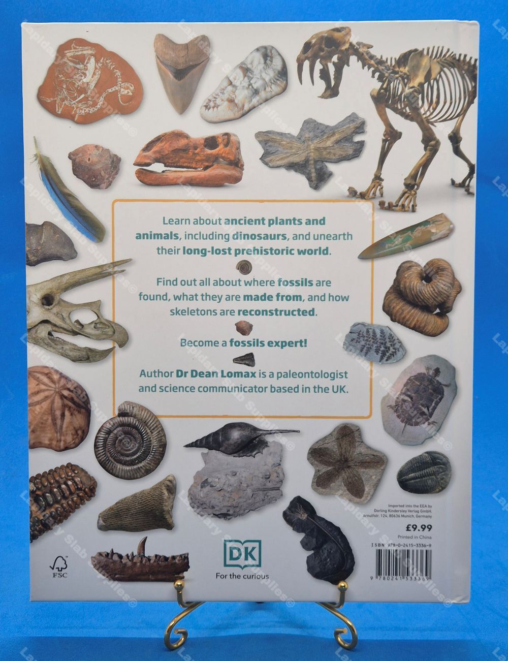 My Book of Fossils - Image 3
