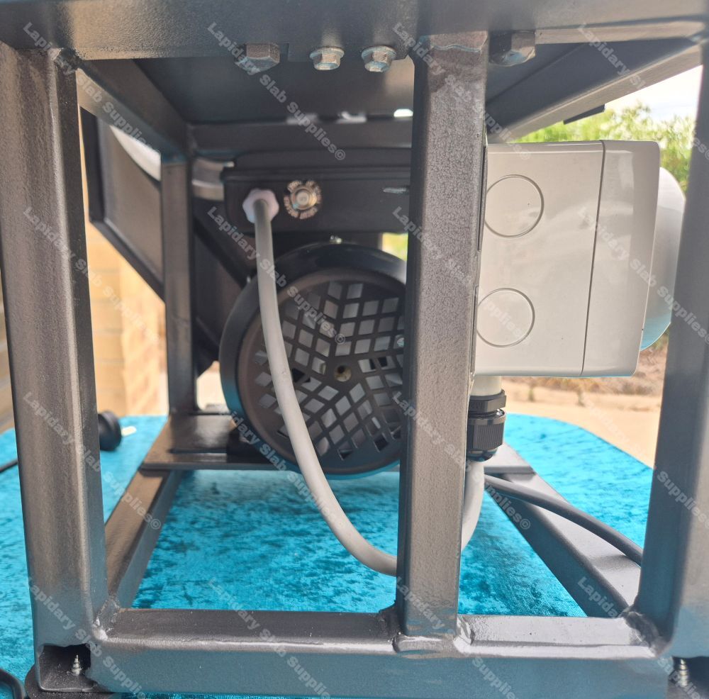 The Bumblebee - Image 17