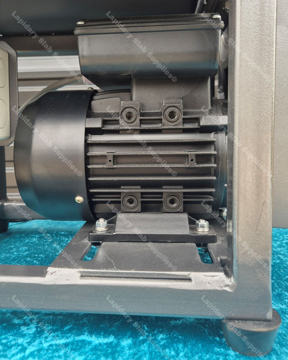 The Bumblebee - Image 18