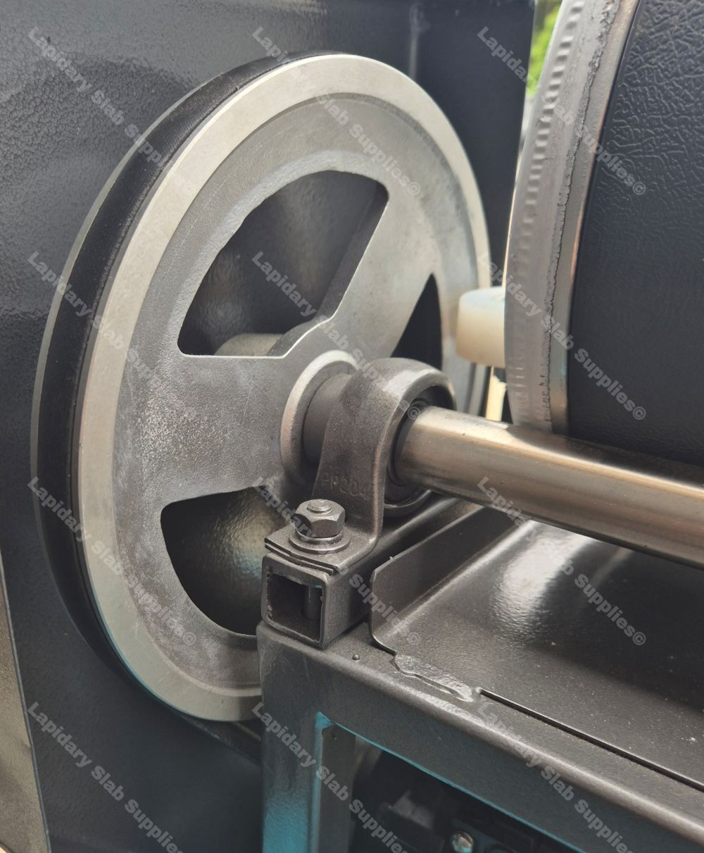 The Bumblebee - Image 15