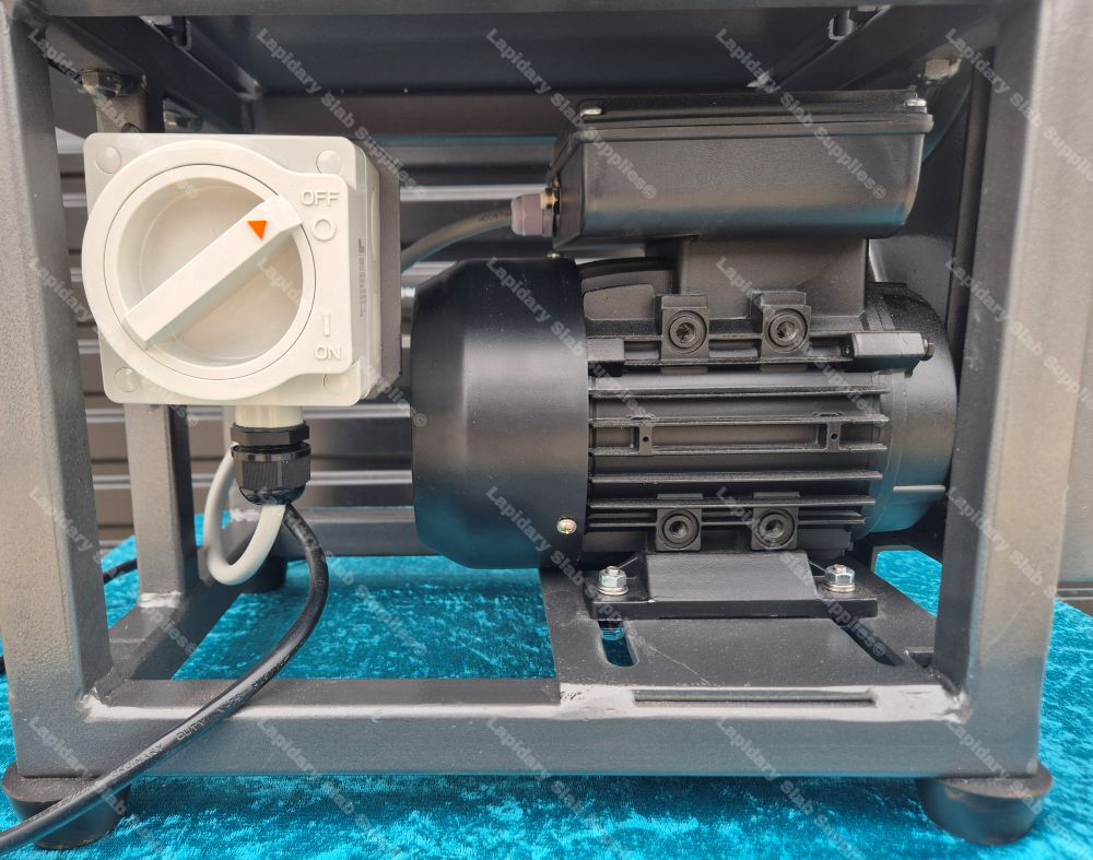 The Bumblebee - Image 16